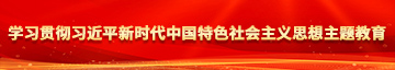 美女小穴被爆操学习贯彻习近平新时代中国特色社会主义思想主题教育